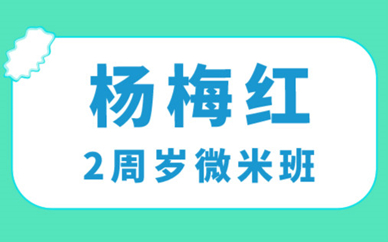 兰州名城广场杨梅红2周岁微米美术培训