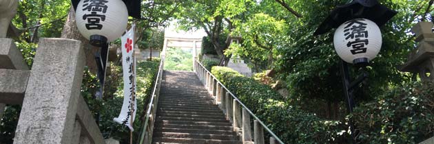 定制授课