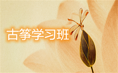 上海杨浦控江青少成人古筝课程