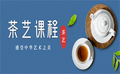 北京海淀秦汉胡同茶艺兴趣班