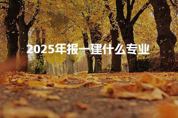 2025年报一级建造师什么专业好就业